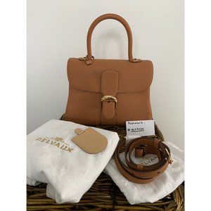 Delvaux Brillant MM Vegetal Certificate of Authenticity